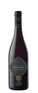 Lavis Pinot Noir DOC 0.75l x 6